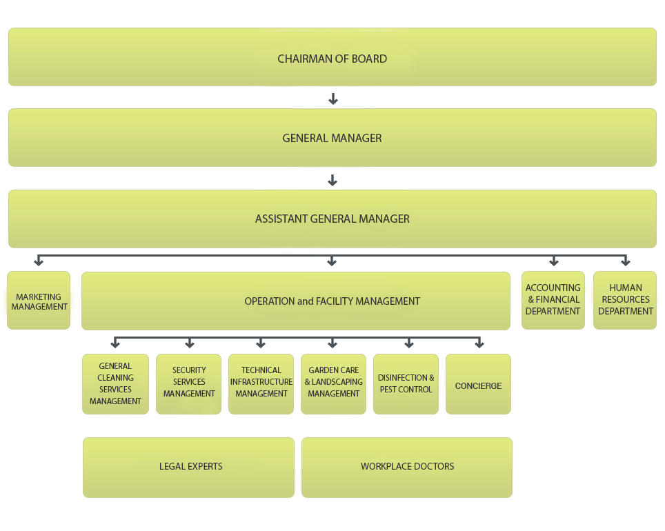MANAGEMENT ORGANIZATION